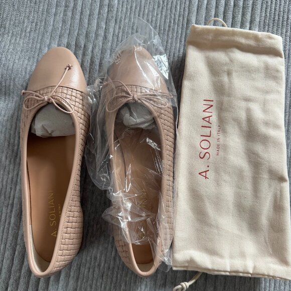 NWT and box A. Soliani Como flat in Cassette / Petal, size 39 - Picture 1 of 5